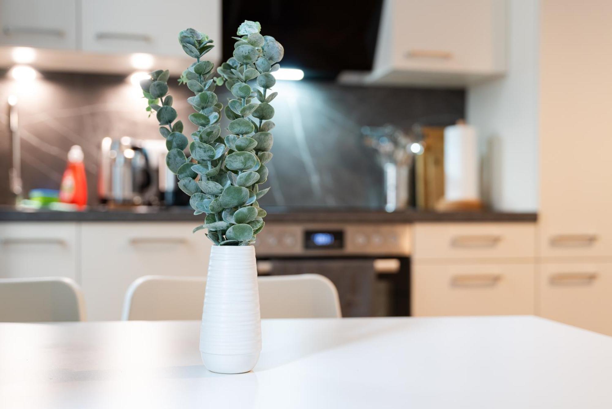 Vienna City Apartment 1020 Wien Ngoại thất bức ảnh